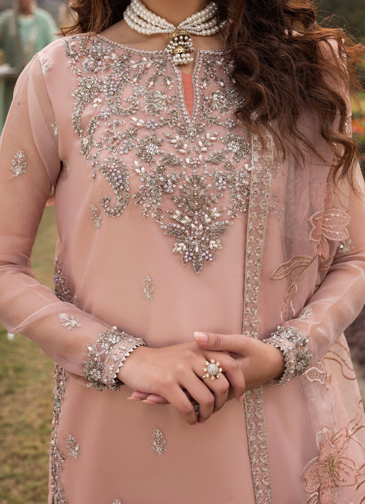 Baby pink heavy handwork sharara suit