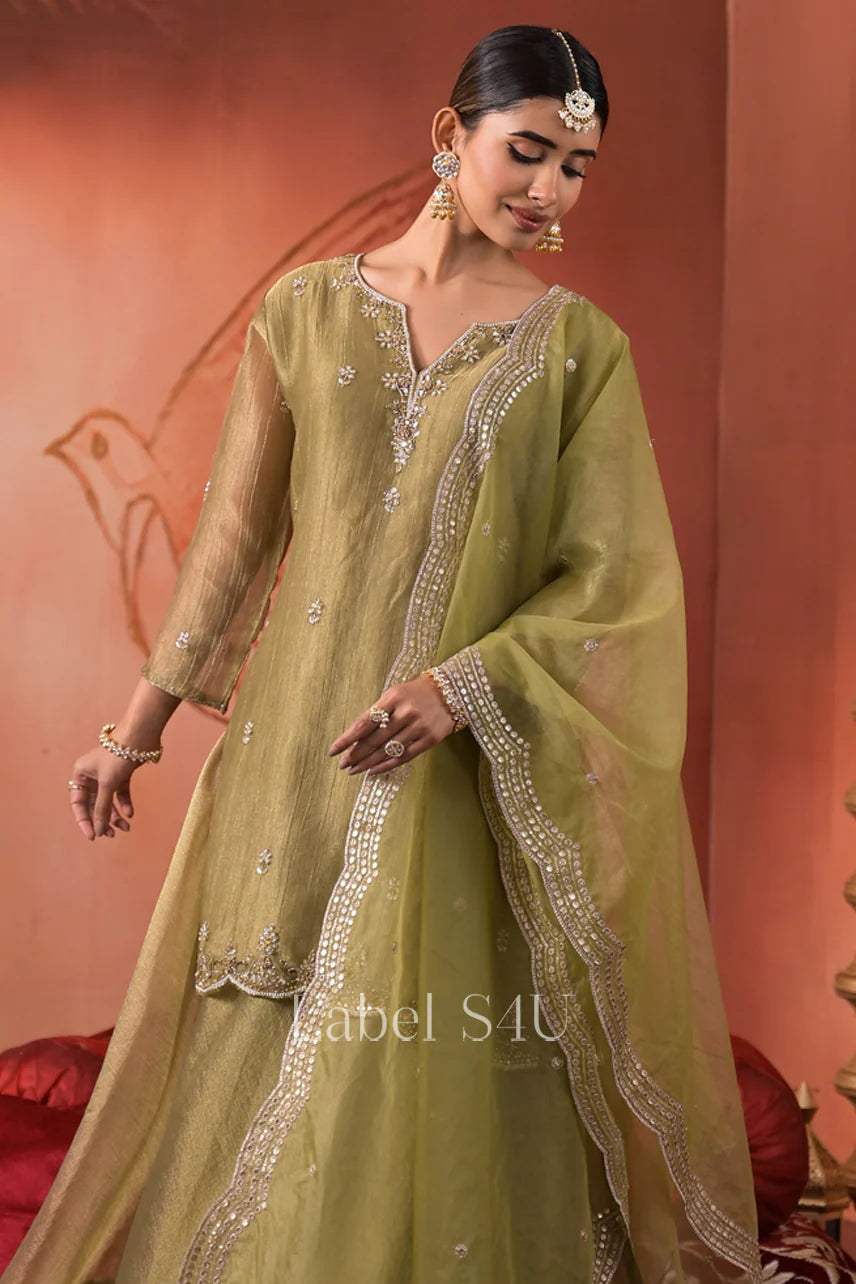 Olive soft organza sharara skirt set
