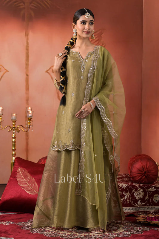 Olive soft organza sharara skirt set