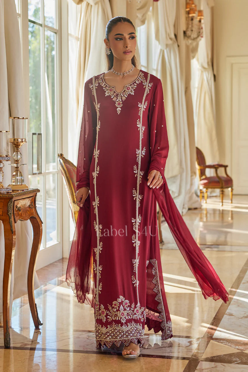 Red heavy handwork pakistani style long suit