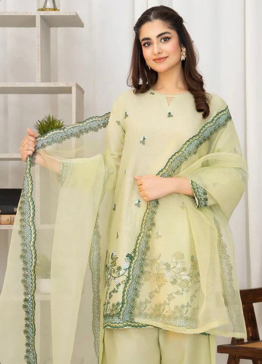 Pistachio farshi salwar suit with beautiful embroidery