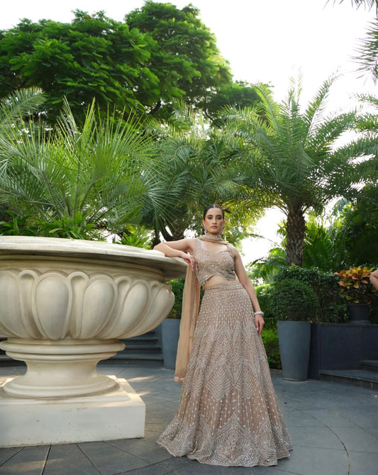 Beige heavy work lehenga choli dupatta