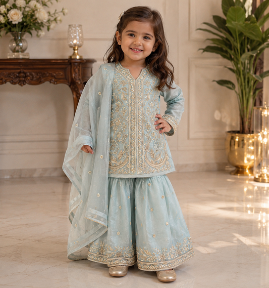 Sky blue heavy handwork palazzo suit (full lining given)