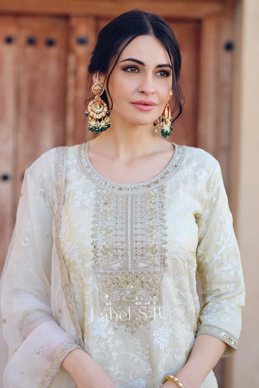 Off white stunning partywear sharara set