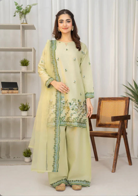 Pistachio farshi salwar suit with beautiful embroidery