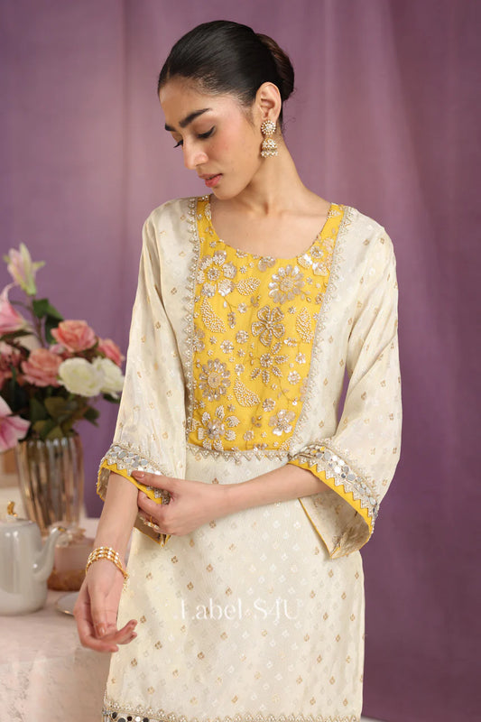 Stunning handwork mirrorwork co-ord set